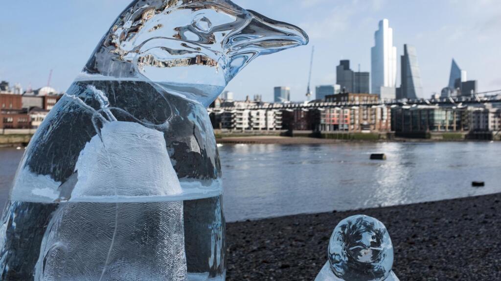 Des sculptures en glace de pingouins sur les bords de la Tamise, dans le cadre  d'une campagne Greenpeace, le 10 février 2020 (image d'illustration).