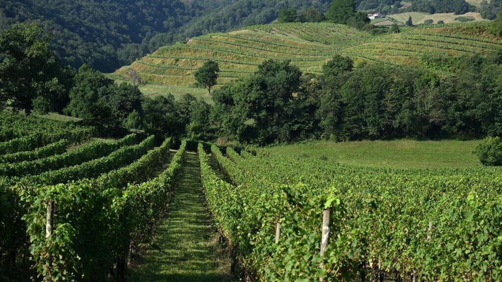 L'agriculture française est-elle menacée de disparaître ?