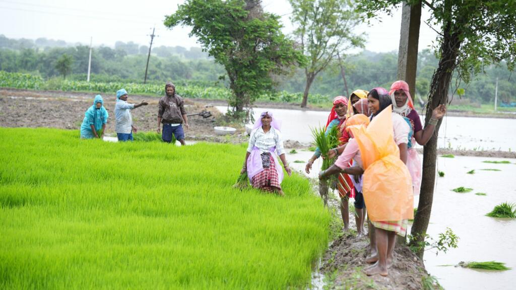 Comment développer le leadership féminin dans les emplois verts ?