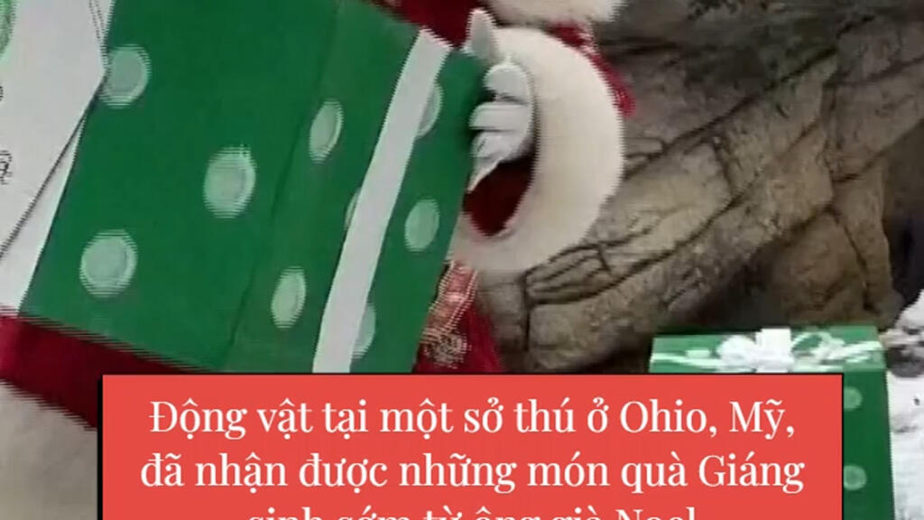 Sở thú Mỹ : Đem niềm vui Giáng sinh đến với các loài động vật