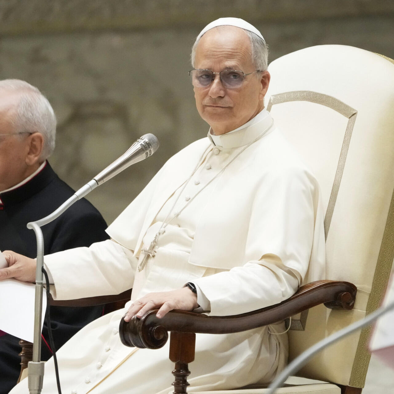 教皇 教皇良十四世首次呼吁加沙实现永久停火