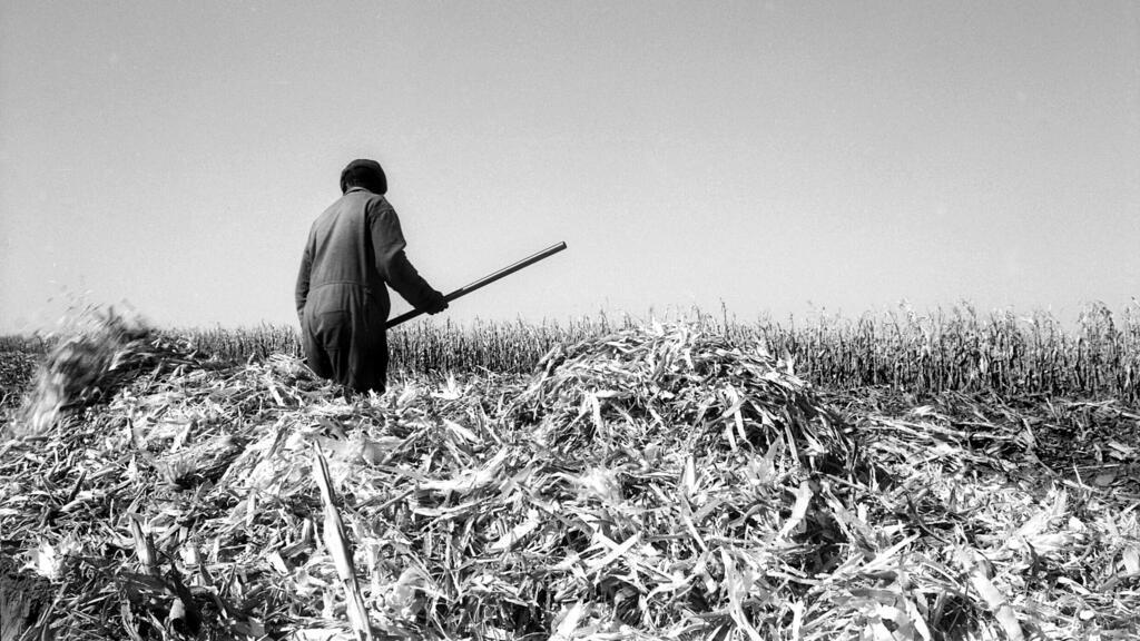 Cultures africaines: les rendez-vous indispensables en février 2026