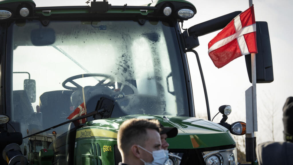 Protesto dos criadores de vison, depois que foi constatado que o Governo de Mette Frederiksen (do partido Social Democrata), não tinha base legal para determinar o abate desses mamíferos fora das zonas de risco de coronavírus especificadas. 06/11/2020