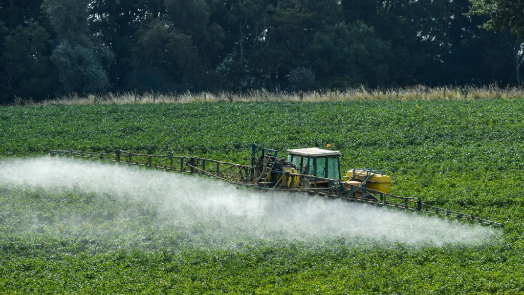 France: plus de 1,7 million d'écoliers soumis à une «forte pression aux pesticides»