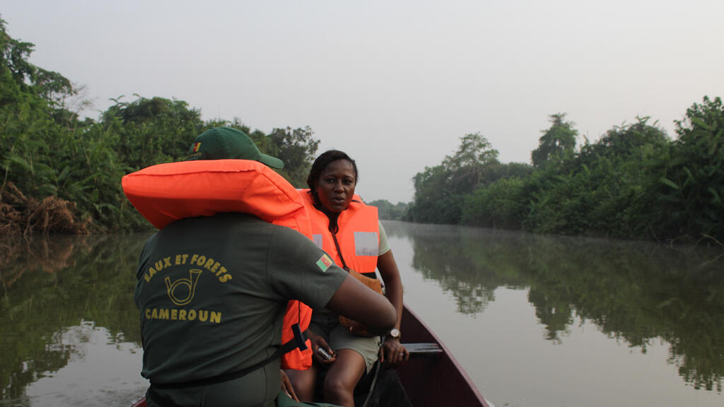L'ONG AMMCO travaille à la préservation des lamantins sur le lac Ossa (Cameroun).