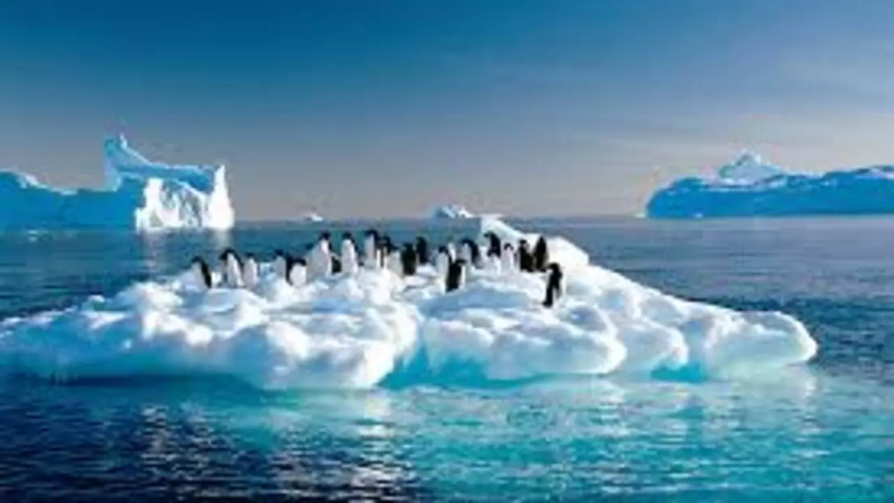 中俄挪反对扩展南极海洋保护区计划泡汤了