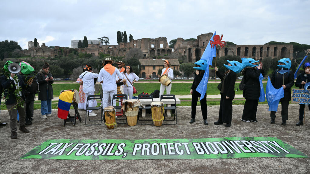 Des militants écologistes manifestent à Rome lors de la reprise de la conférence COP16 sur la biodiversité au siège de l'Organisation des Nations unies pour l'alimentation et l'agriculture (FAO) à Rome, le 25 février 2025. La plus grande conférence mondiale sur la conservation de la nature reprend après l'échec des négociations l'année dernière à Cali.