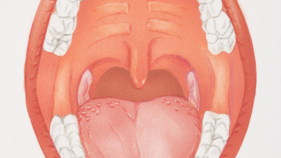 Luette attention à l