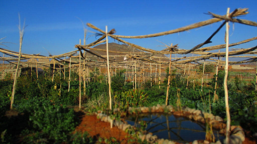 Le jardin du Cipa initié par Pierre Rabhi, inspirateur du travail de Terre et Humanisme.