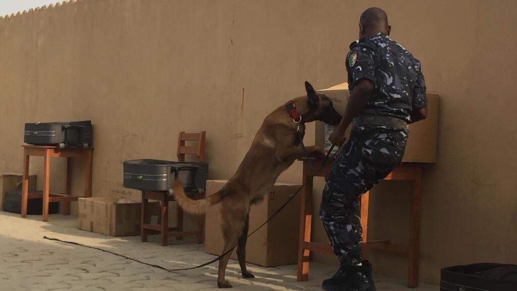 Une démonstration à la brigade canine de Cotonou. En général, un chien renifleur met 15 à 20mn pour fouiller 200 bagages.