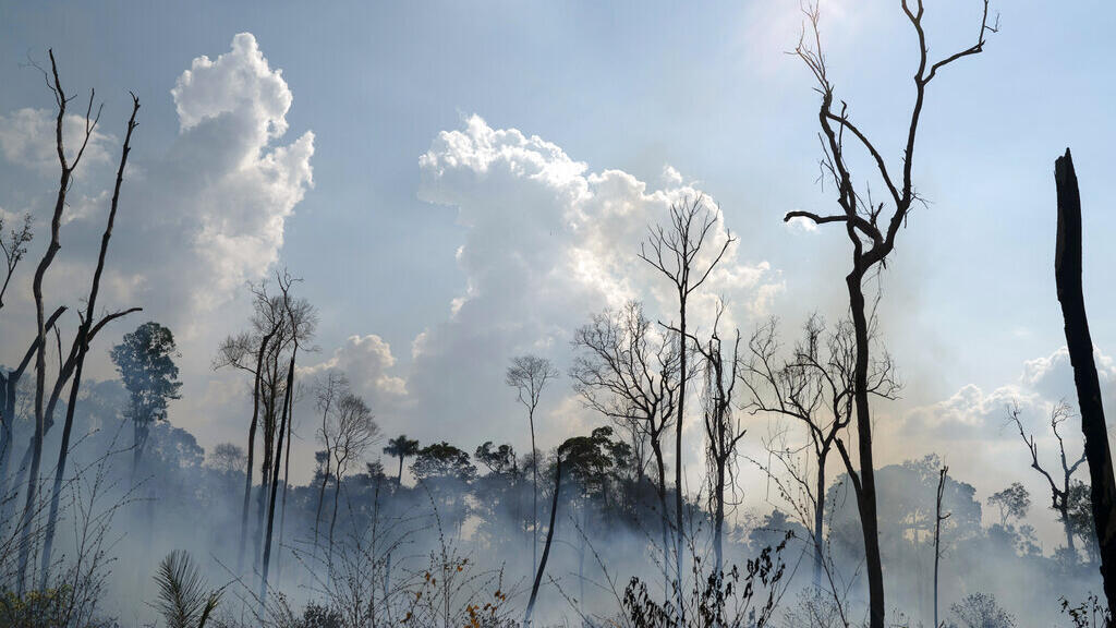 Queimada na Amazônia. "A verdade é que a gente nunca teve uma boa relação com a Amazônia do ponto de vista político, social, cultural e também ambiental", diz o historiador Rafael Ioris. 