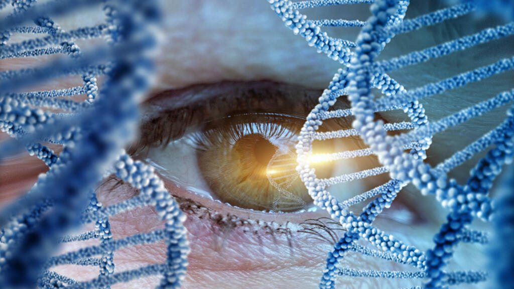 Retrouver la vue: José-Alain Sahel et la révolution de l’optogénétique