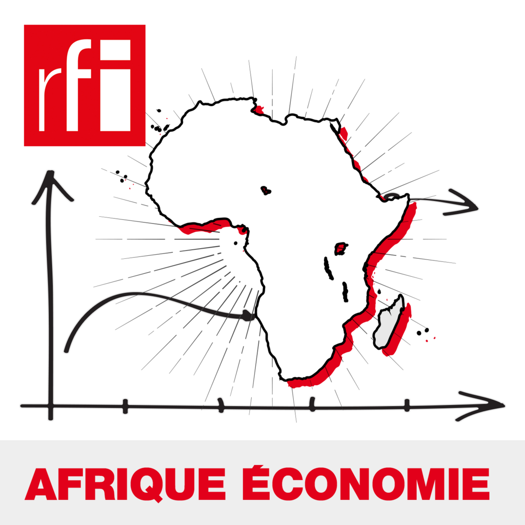 FMM / RFI : Chronique Afrique économie 
法广«非洲经济»专栏