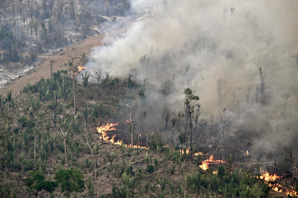 Incêndios com provável origem criminosa atingem quase todos os biomas brasileiros, e principalmente a Amazônia, desde agosto. (20 de agosto de 2024)