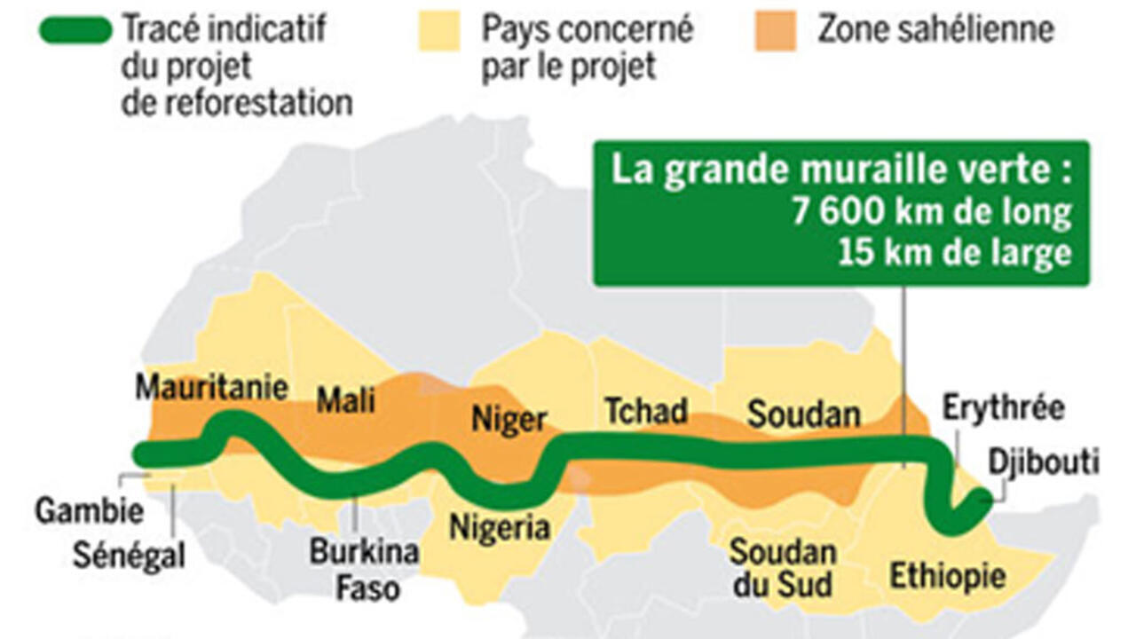 Gambia plants 1,000 trees as part of Africa's Great Green Wall Teller