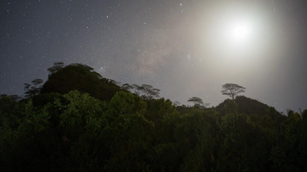 Nuit étoilée en Polynésie.