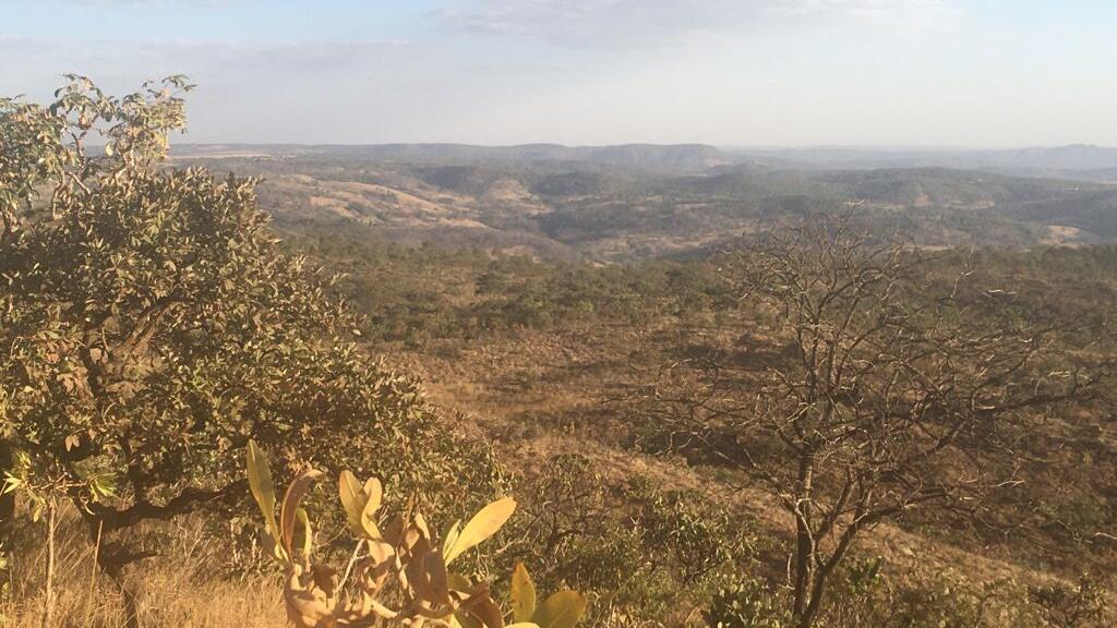 Paisagem típica do cerrado, na Serra dos Pirineus, em Goiás. O bioma está entre os que podem ser ameaçados pelo desmatamento.  