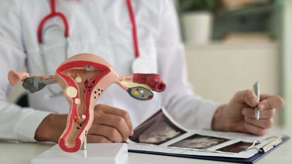 Menstruations, douleurs, contraception, infections… Cette semaine, un gynécologue répond à toutes les questions des auditrices.