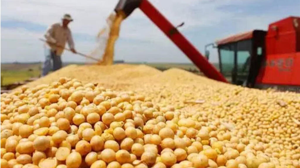 ���µ�10��  �й�������������