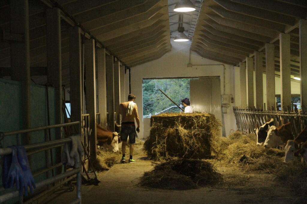 Azienda agricola Manig
