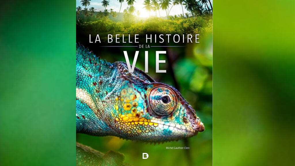 La belle histoire de la vie.