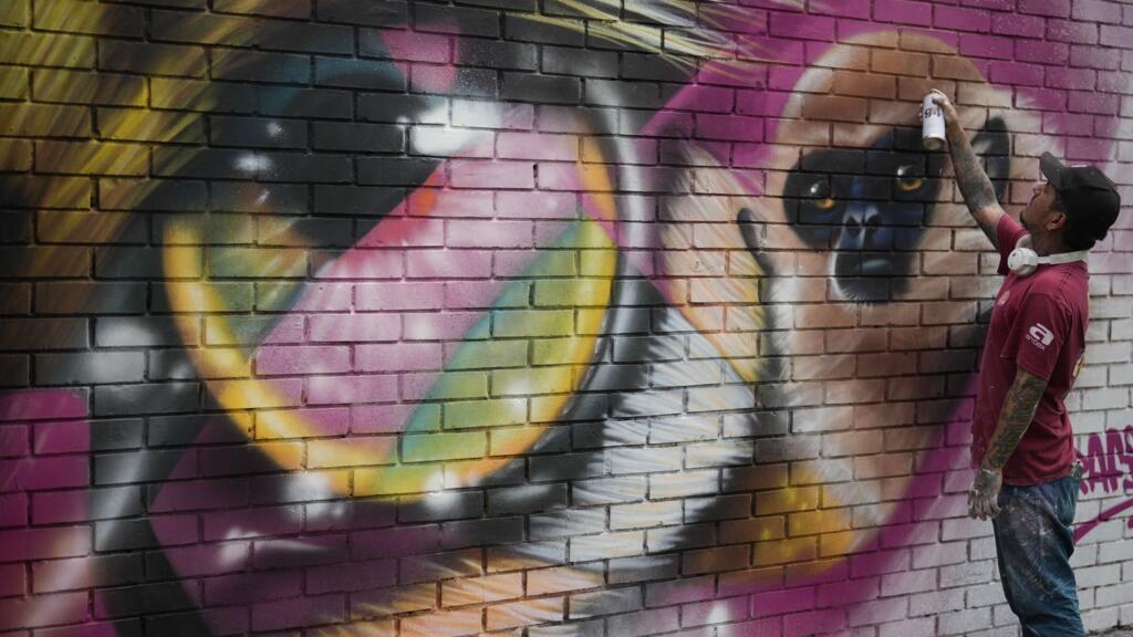 Un artiste peint la touche finale d'une fresque murale, un jour avant la Conférence des Nations unies sur la biodiversité COP16, dans la ville hôte de Cali, en Colombie, le samedi 19 octobre 2024.