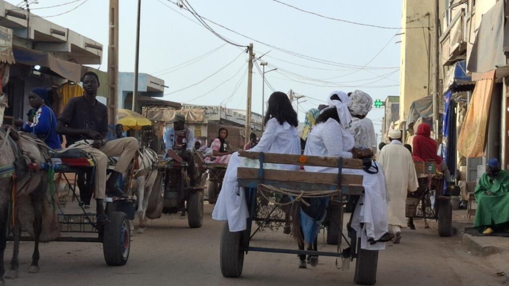 Les charrettes utilisées comme moyens de transport à Kayar.