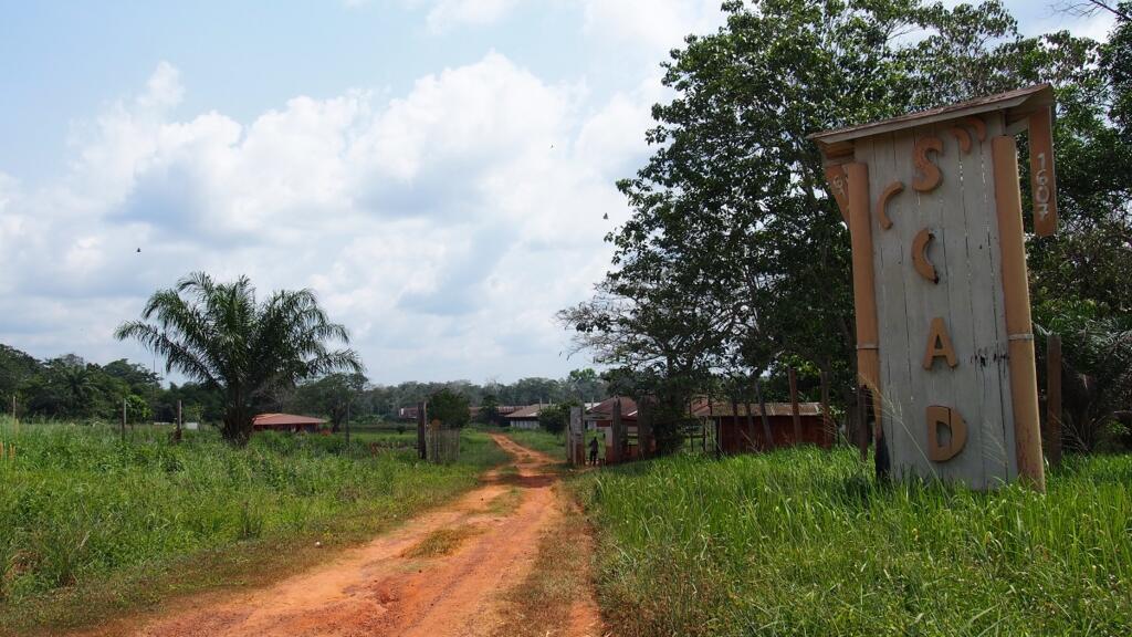 La Société centrafricaine de déroulage (Scad).