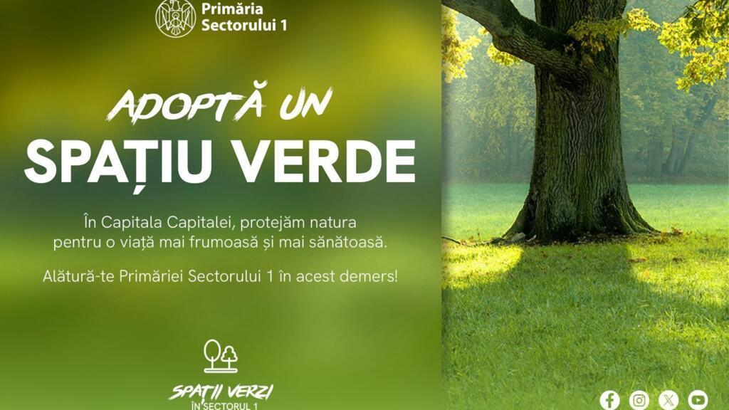 Ilustrație