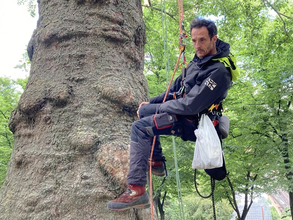 Ativista Thomas Brail também já se pendurou em árvore nas proximidades da torre Eiffel para protestar contra a construção de rodovia no sudoeste da França. 