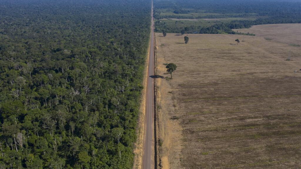 A destruição da parte brasileira da Amazônia caiu 33,6% entre janeiro e junho deste ano, em comparação ao mesmo intervalo em 2022, revelou nesta quinta-feira (6) o relatório do Inpe (imagem de arquivo).