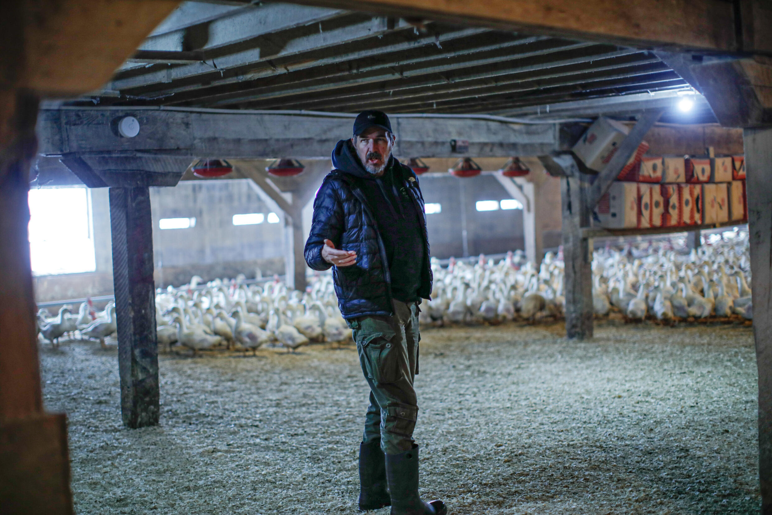 El foie gras, objeto de una batalla legal en Nueva York