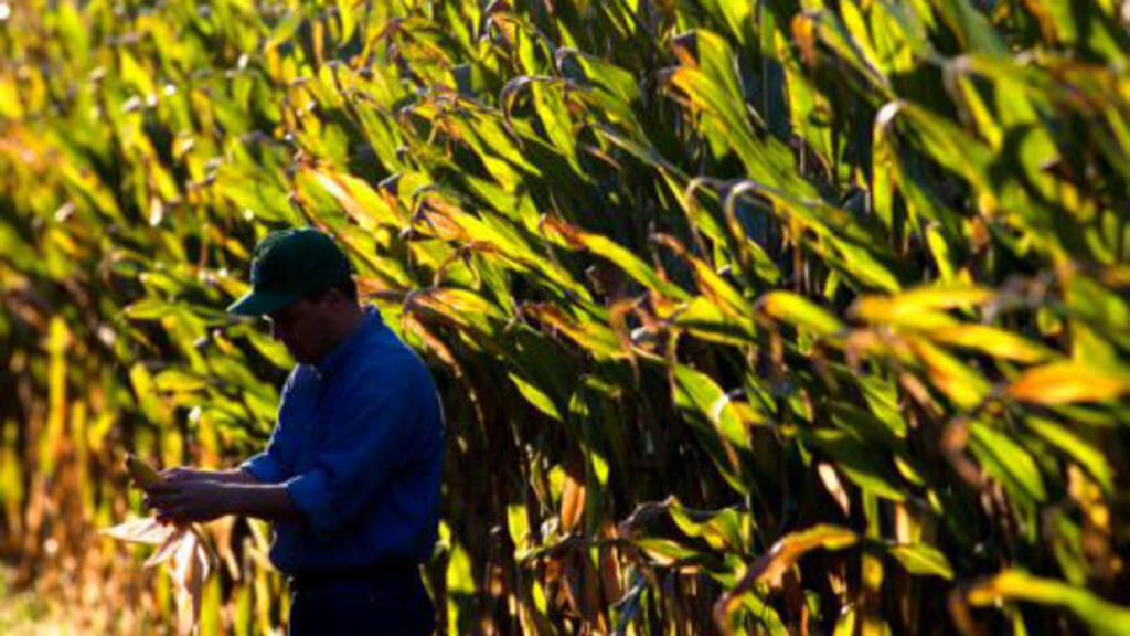Le Brésil réintroduit 20% de taxe sur l'éthanol des États-Unis