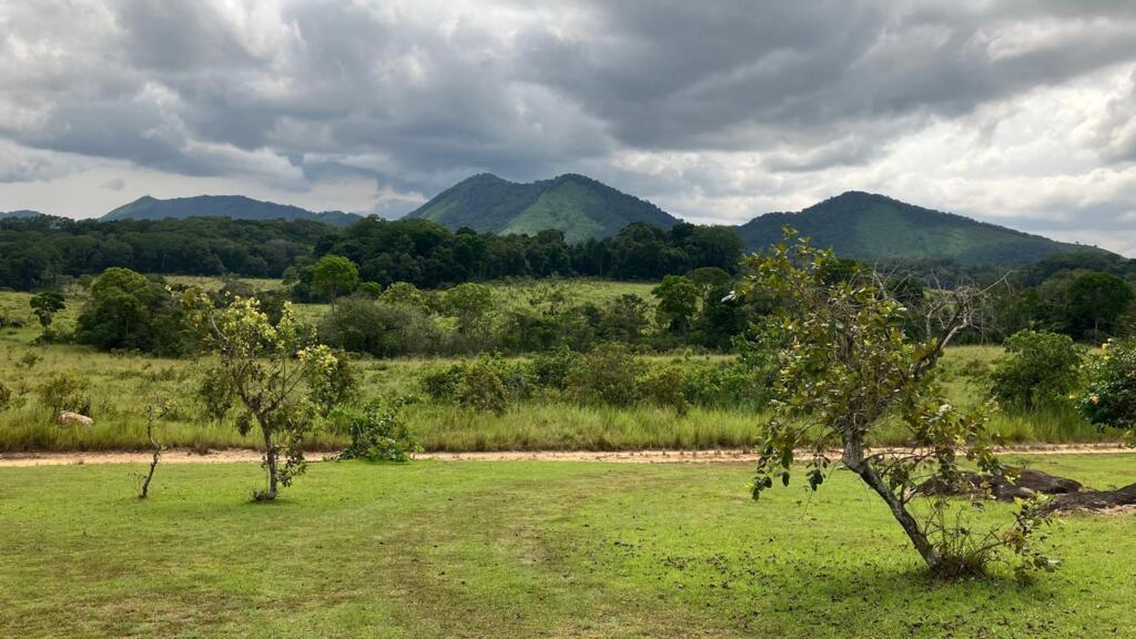 Une vue du parc Lopé-Okanda.