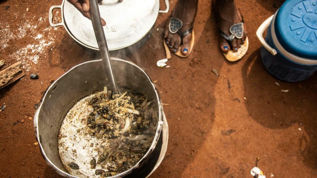 Préparation de chenilles au naturel chez Ramatou dans le quartier Fouh en banlieue de Bangui.