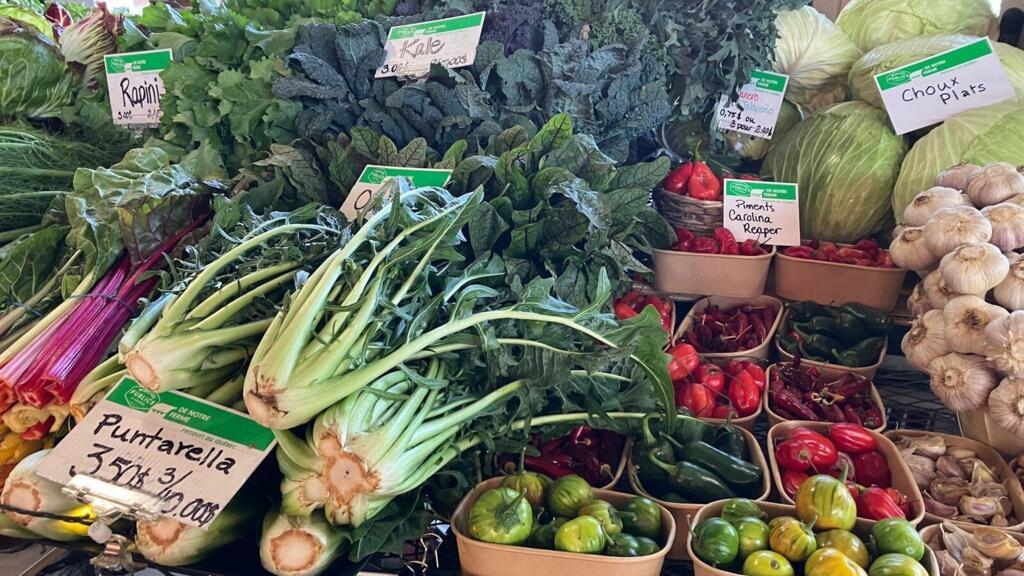 Étals au Marché Jean Talon à Montréal.