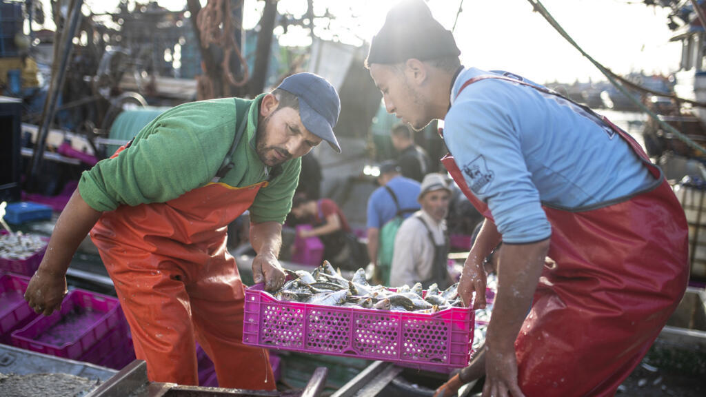 Les produits du Sahara occidental inclus dans l'accord commercial Maroc-UE