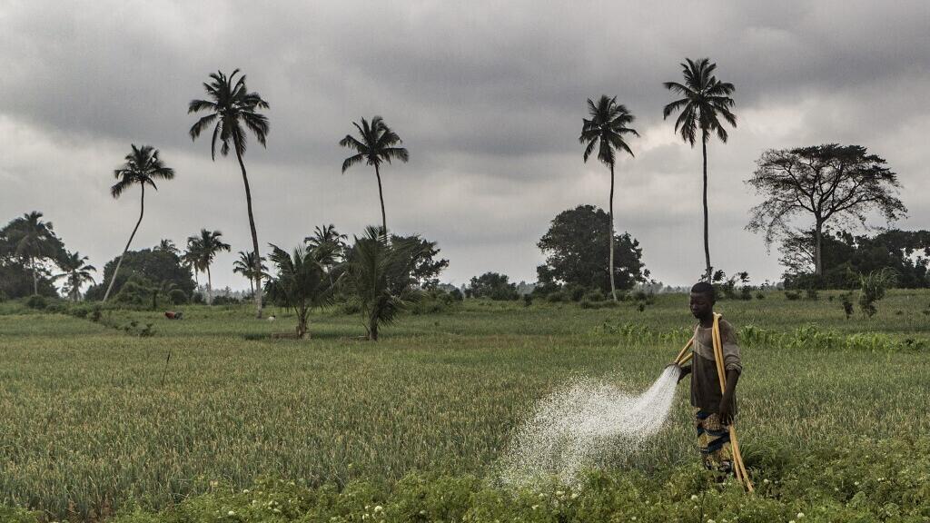Agriculture au Bénin : progresser dans l'accès des femmes et des jeunes à la terre