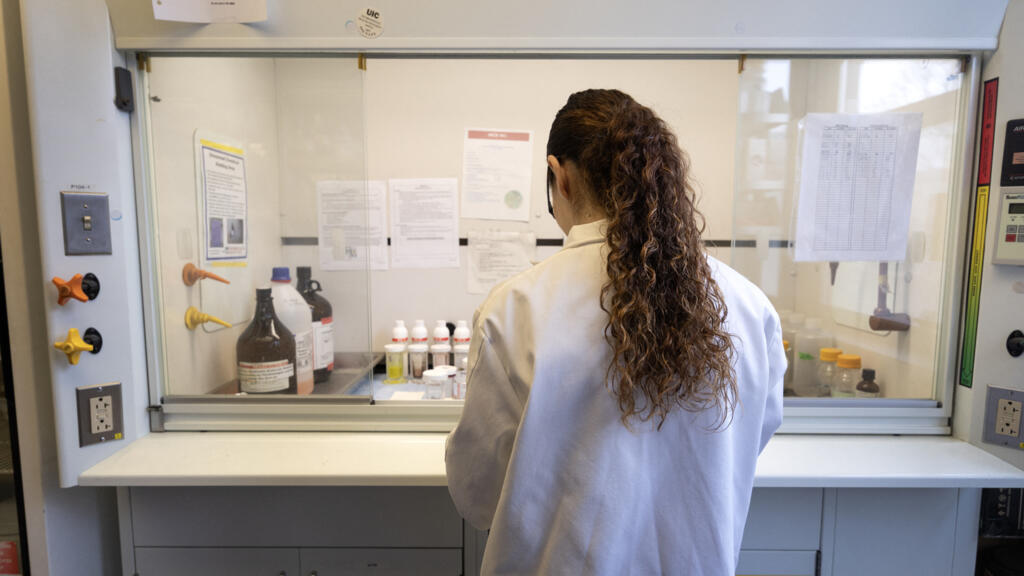 États-Unis: fin programmée de l'utilisation des singes comme cobayes dans la recherche biomédicale