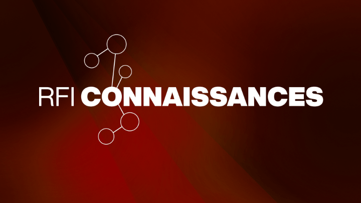 RFI Connaissances