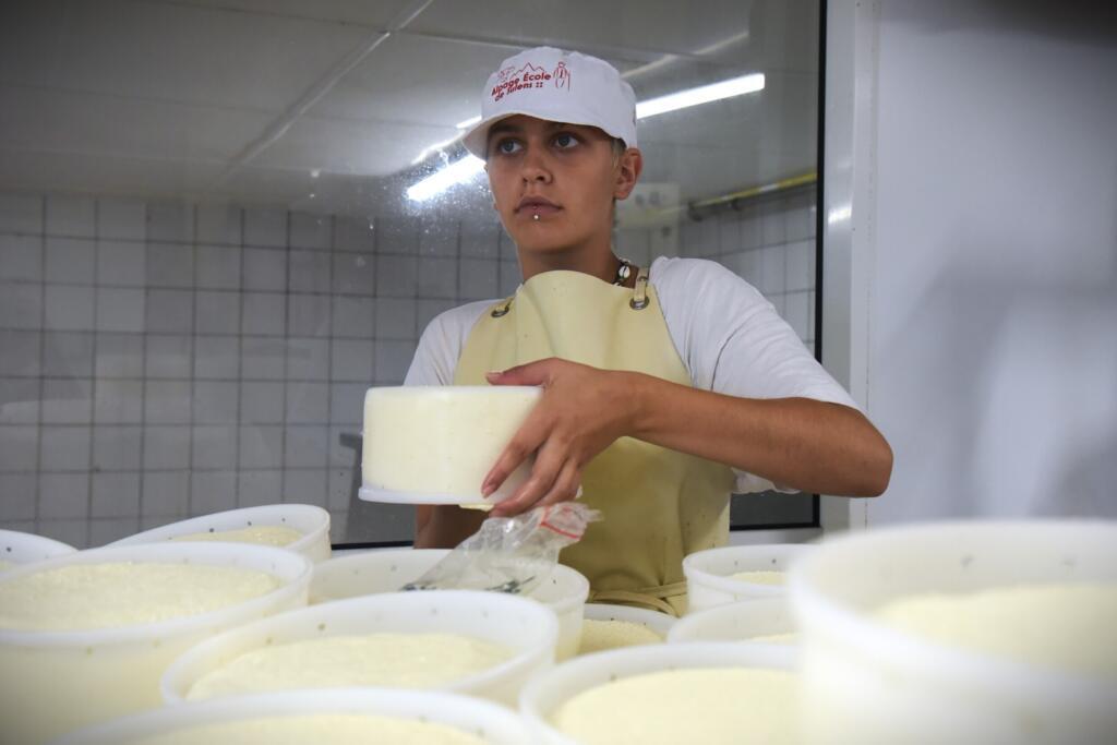 Noura s'applique à retourner une tomme de Savoie fraîchement moulée.