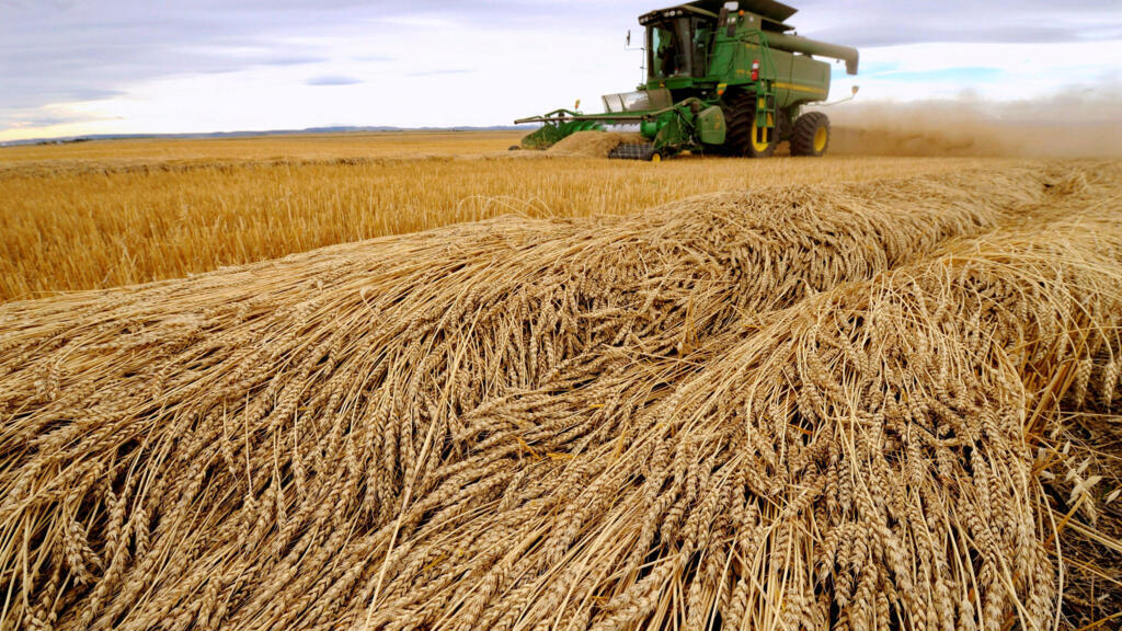 D'ici trente ans, il faudra augmenter la production agricole mondiale de 50%.