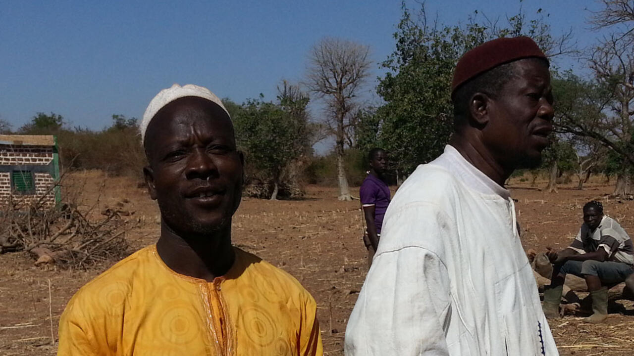 La culture attelée dans le département de Rambo au Burkina Faso Le