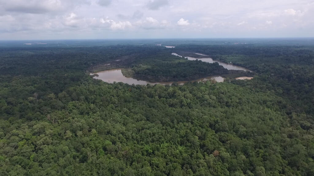 Vue aérienne de forêt Dulan à Bornéo.