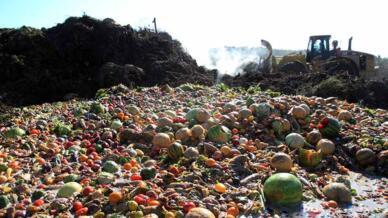 کشاورزی نیز همانند تمامی فعالیتهای دیگر دارای ضایعات است که قسمت عمده آن به مراحل برداشت و پس از برداشت مربوط میشود.