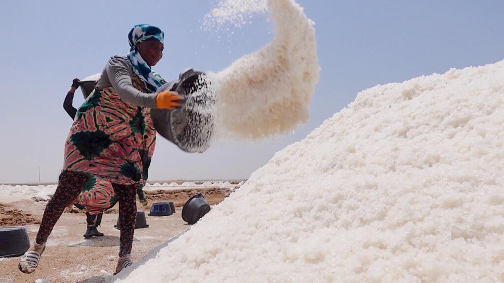 La récolte du sel dans le Sine Saloum au Sénégal.
