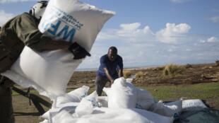 海地粮食危机恶化超四百万人需救助