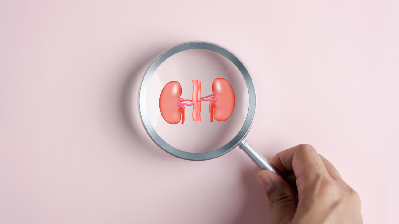 Néphrologie : comment prendre soin de ses reins ? – Priorité santé Néphrologie : comment prendre soin de ses reins ? – Priorité santé