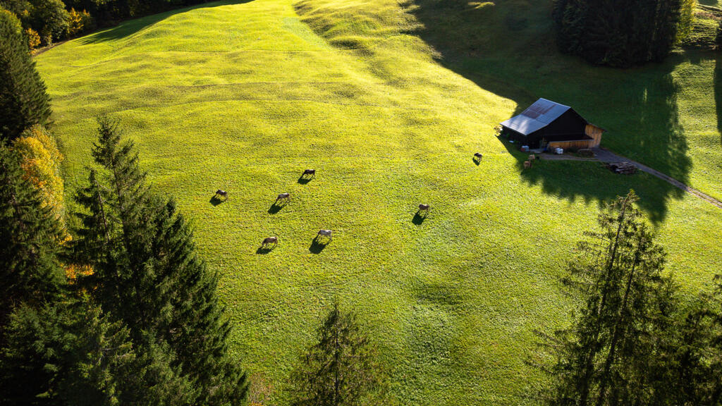 Ferme en Autriche.