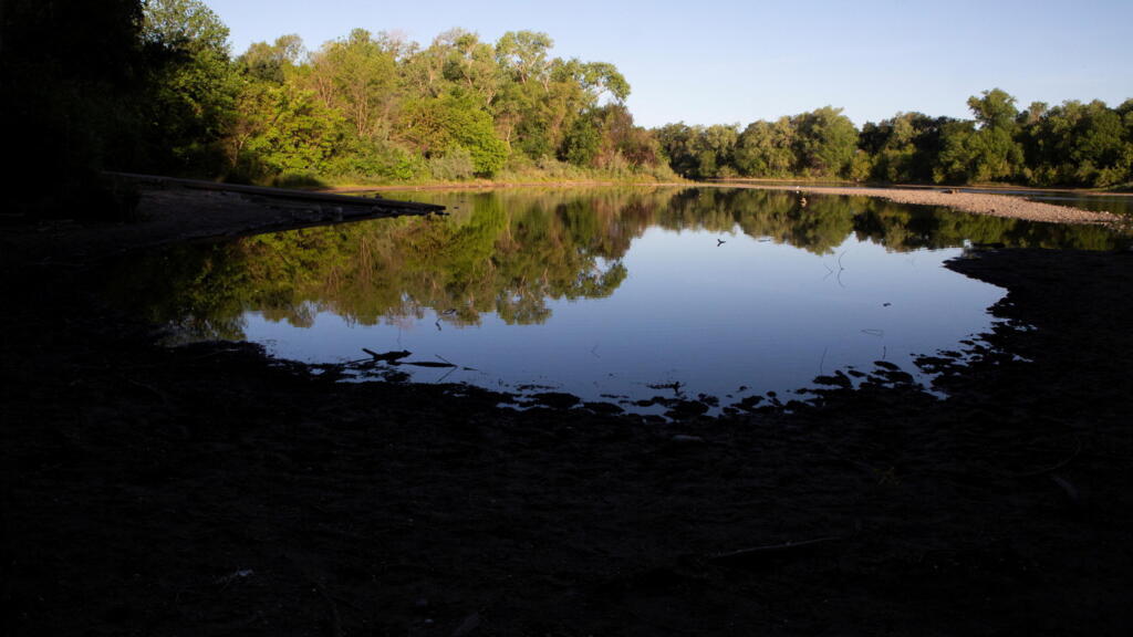 L'American River, près de Sacramento en Californie, a déjà un débit trop faible pour que les saumons puissent y nager.